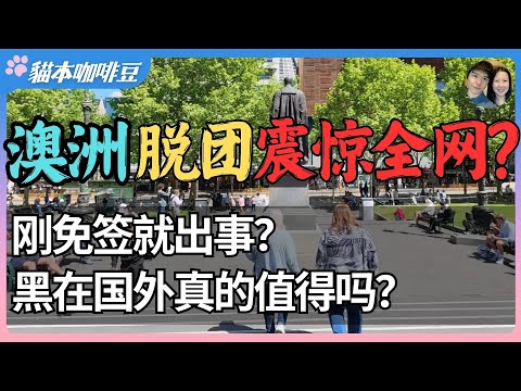 2025中国游客集体脱团潮震惊澳洲？花光积蓄脱团走线，自由的代价到底值不值？他们以为逃离了贫穷，却掉进更深的绝望？| 澳洲与新西兰的移民生活深度分享 | 猫本咖啡豆