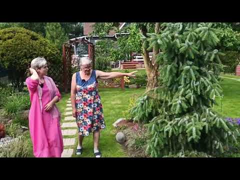Сад Татьяны и Владимира Паршковых. Беседа с хозяйкой БЕЗ МОНТАЖА. Обзор как есть. Июнь 2024.