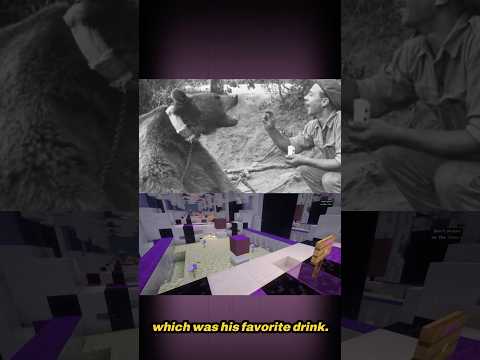 The Bear Who Fought a World War