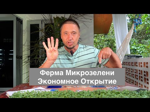 Starting a Microgreens Farm on a Budget