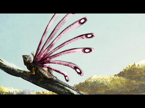 대멸종 후 등장한 동물들은 왜 이렇게 이상하게 생겼을까?