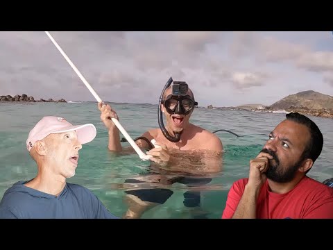 Divers React to how deep can you snorkel?