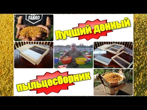 Лучший донный пыльцесборник из моей практики
