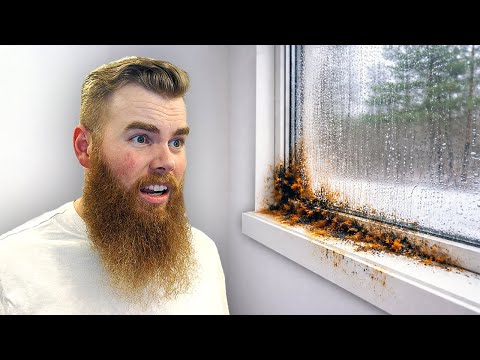 This Hidden Problem Almost Ruined Our Tiny Home