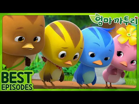 [엄마까투리 Best] 먼 여행, 신나는 모험 | 엄마 까투리 | 까투리 | Katuri | 베스트 에피소드 모음