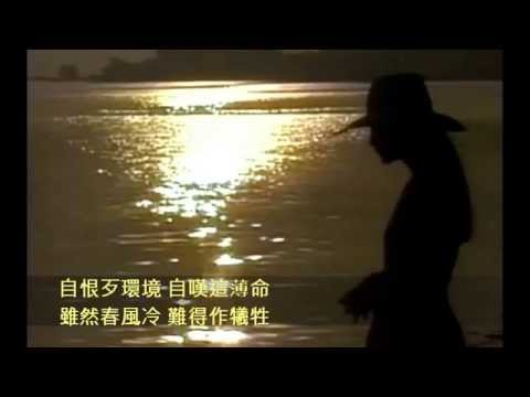 永遠鳳飛飛 台灣歌謠 月夜愁 心茫茫 碎心花 雨夜花 河邊春夢