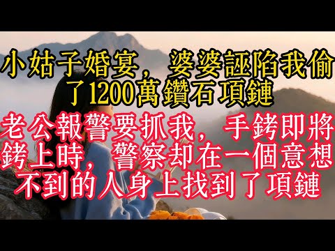 小姑婚宴，婆婆誣陷我偷了1200萬鑽石項鍊，老公報警要抓我，手銬即將銬上時，警察卻在一個意想不到的人身上找到了項鍊