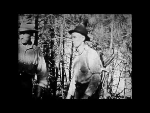 WFSTAR:  Common Errors In Fighting Forest Fires (Full Program)