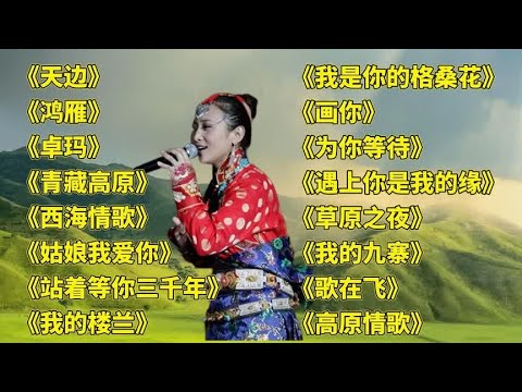 天籁藏歌,天边,,鸿雁,,卓玛,,青藏高原,,西海情歌,,姑娘我爱你,