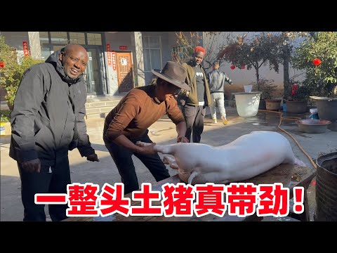 保镖彻底嗨了!中国人真热情,现场宰猪,喝酒吃肉,这场面太爽了