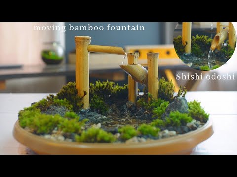 diy zen style terrarium with pond and moving bamboo fountain | diy shishi odoshi