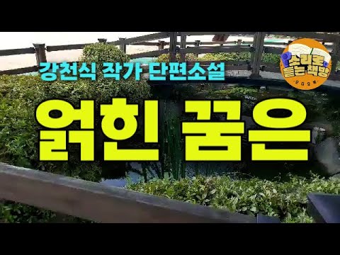 [단편소설읽어드립니다] 얽힌 꿈은 ⼁강천식 작가⼁김선생님은 요양보호사 입니다, 사표를 내지만 남자요양보호사가 필요한 요양원이기에   원장은 사직서를 받아주지 않습니다.