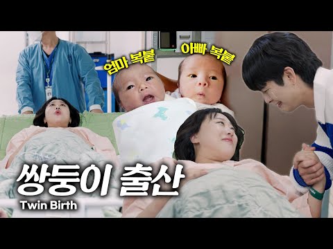 [EN] Lucky Tuki was finally born😭 The day the twins were born! [Pregnancy Diary Episode 33] Twin ...