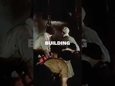 Energy Makes Life Possible | Too Cheap to Meter