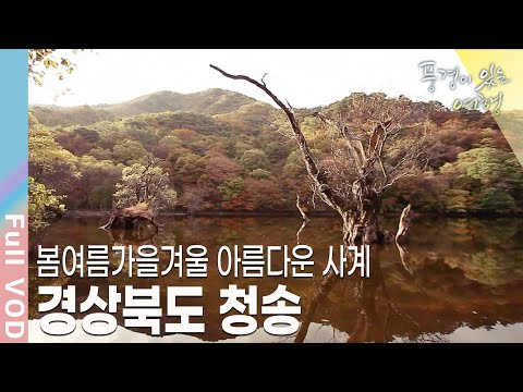 [풍경이있는여행] 영화 봄 여름 가을 겨울 그리고 봄의 촬영지로 유명해진 주산지와 기암괴석으로 장관을 이루는 주왕산을 품고 있는 푸른 땅 경상북도 청송 | KBS 111105 방송