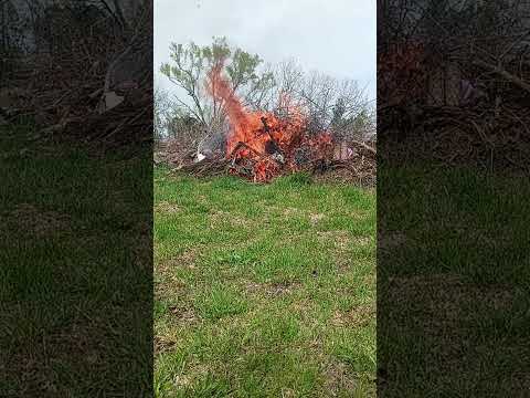 Burning @,the Farm. #shorts