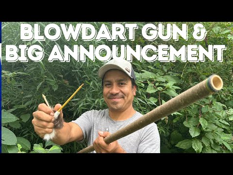 Blowdart Gun & Big Announcement