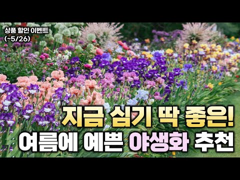 지금 심기 딱 좋은! 여름에 예쁜 야생화를 소개합니다.