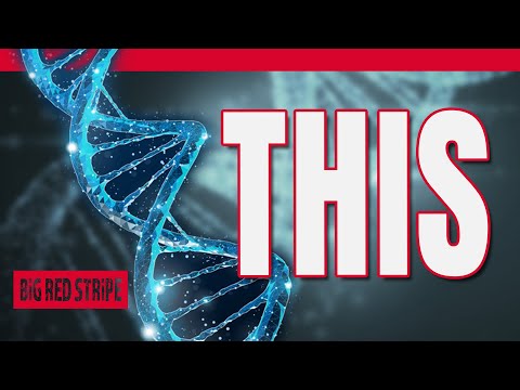 Character Arcs Are NOT What You Think