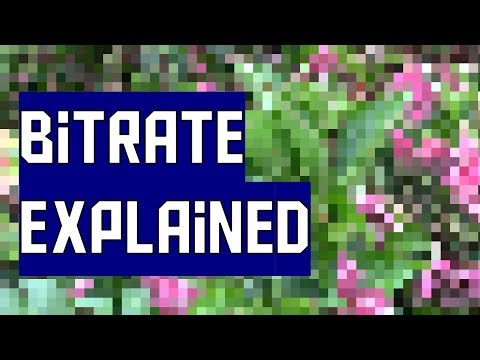 What is video bitrate? (AKIO TV)