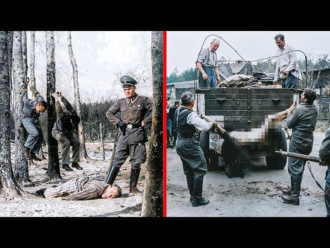 The Darkest Side of the Nazi Bergen-Belsen Camp (HARD TO WATCH)