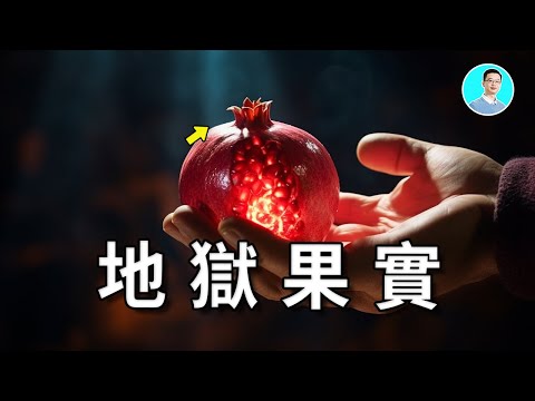 地獄的果實不要吃，古希臘神話中最驚聳的懸疑片，一個無法理解的神話 尼可拉斯楊 優秀天才團