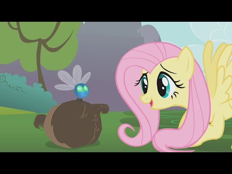 My Little Pony: Friendship Is Magic: Season 1, Episode 10 (Swarm of the Century)