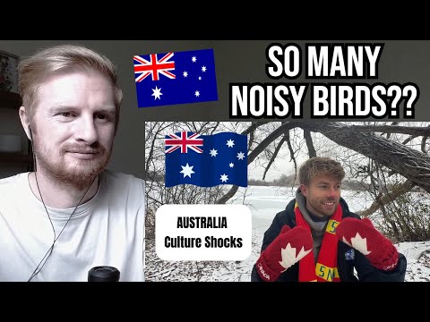 Reaction To 8 AUSTRALIAN Culture Shocks as a Canadian