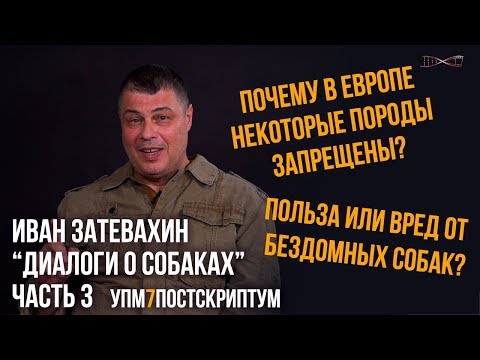 Иван Затевахин. "Диалоги о собаках" на канале "Лаборатория Научных Видео". Серия №3