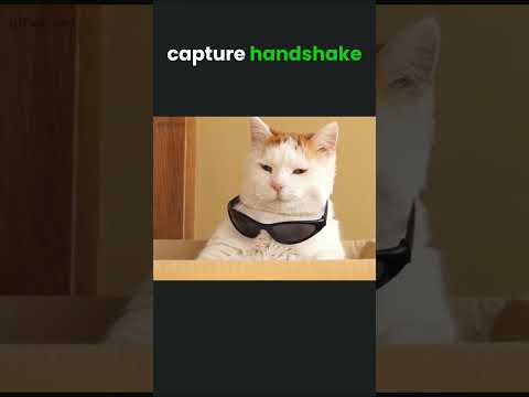 What's a handshake file? #hacking #wifi #security