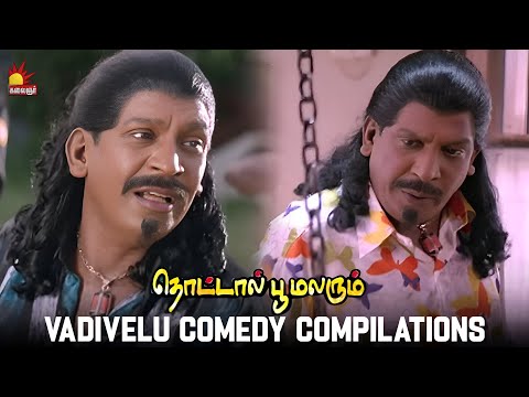 Lorry போய்டுச்சா போவோமா...| Vadivelu Comedy Compilations | Thottal Poo Malarum | Muniyandi