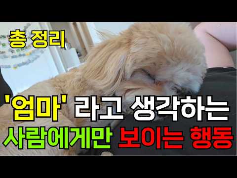 가장 사랑하는 한 사람에게만 보이는 행동 / '엄마'라고 생각하는 사람에게 보이는 행동들