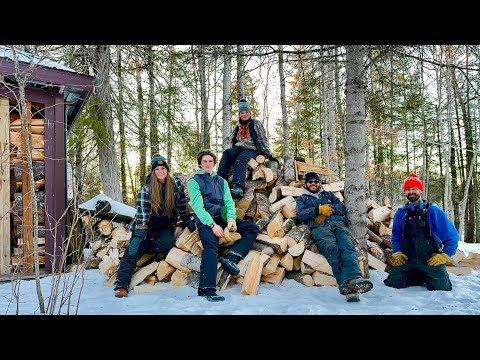Enough FREE wood to heat the cabin for 5.2 years! Basement Renovation Ep. 6