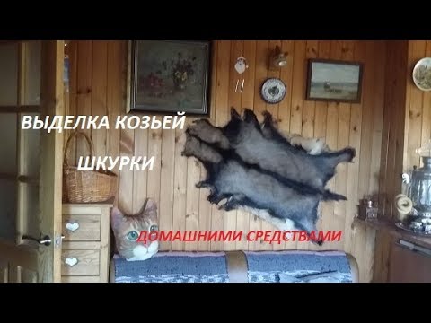Как выделать шкурку козлика? Самый простой метод.