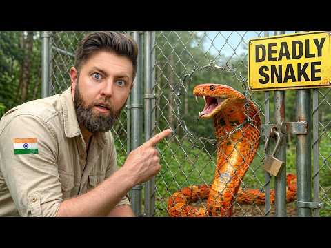 Face to Face with India’s Deadliest Animals (Private Tour)