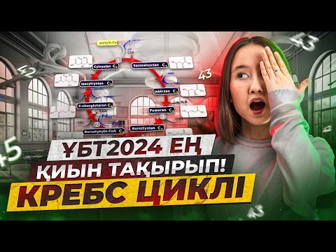 ҰБТ2026 ең қиын тақырып! Кребс циклі