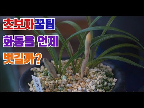 [Episode 268] 99% of the difficulties in developing color are due to this [Food Tech, Chunlan, Cy...