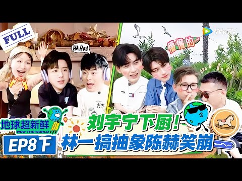 【地球超新鲜】第8期下完整版：刘宇宁下厨！林一搞抽象陈赫笑崩！#地球超新鲜 #孙红雷 #李乃文 #陈赫 #刘宇宁 #龚俊 #陈星旭 #王玉雯 #欧阳娣娣