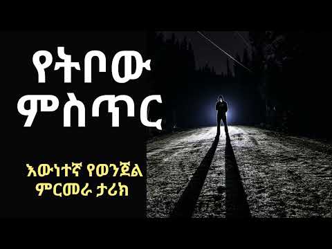 የትቦው ምስጥር እውነተኛ የወንጀል ምርመራ ታሪክ ፤