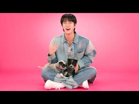 Jin: The Puppy Interview