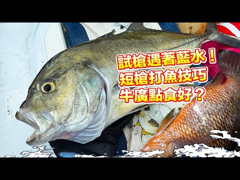【漁人推介】阿火帶大家出海潛水，試槍遇著藍水，短槍打魚有什麼技巧？橡筋長度如何調教？牛廣好難食？有什麼好食法？Catch and Cook Seafood Recipe