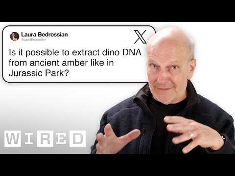 Paleontologist Answers Fossil Questions | Tech Support | WIRED
