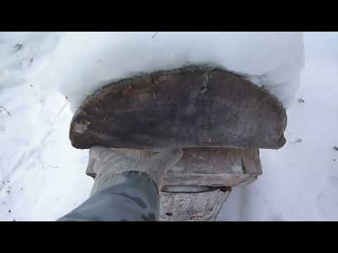 Плашка на соболя разговор