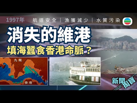 TVB 新聞掏寶｜90年代填海爭議　消失的維港：填海蠶食香港命脈？(繁 / 簡字幕)｜香港歷史片段｜無綫新聞TVB News