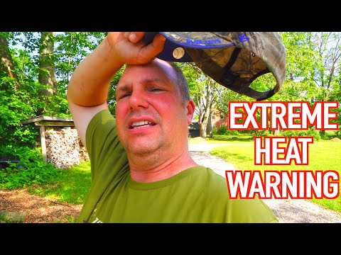 Our Small Farm's Resilience Under Heat Dome in Ontario, Canada