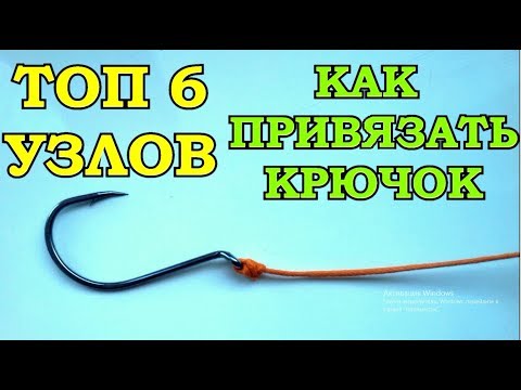 HOW TO BIND THE HOOK TO THE FOREST 6 BEST AND RELIABLE NODES