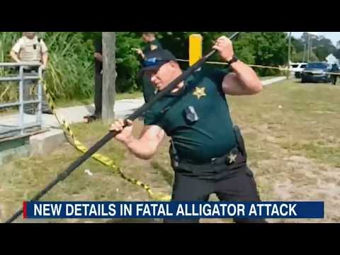 Florida Deputies Respond to DEADLY Alligator Attack | (Alligator Attack Compilation)