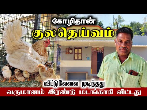 🐓வீட்டுக்கு பின்னால் 10 சென்ட் இடம், 30 கோழிகள், 30 ஆயிரம் வருமானம்?