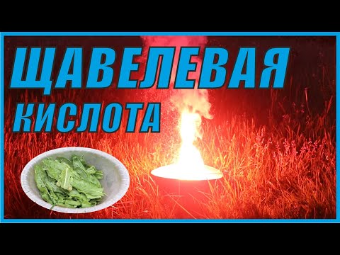 Щавелевая кислота- коварная НЕ пищевая добавка.