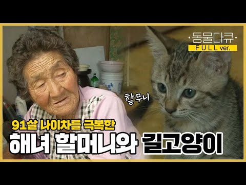 [풀버전] 91세 해녀 할머니가 길고양이를 사랑하게 되는 과정😽 | 인어할머니와 선장｜KBS 인간극장 2011 방송
